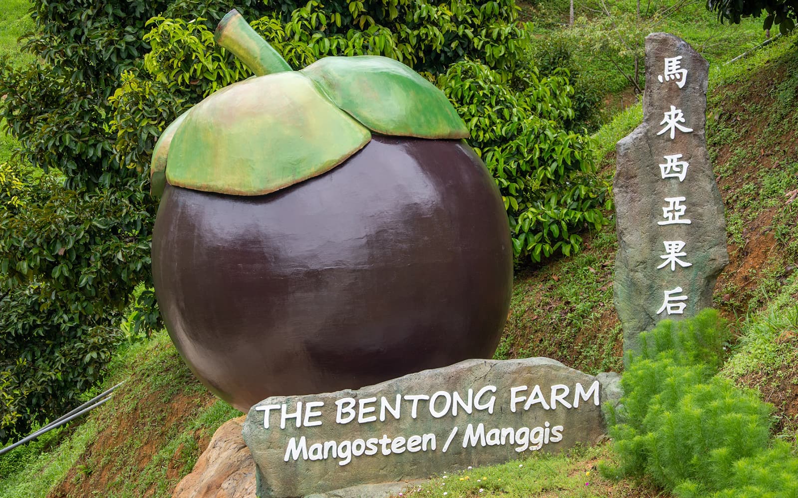 The Bentong Farm Entrance Tickets in Kuala Lumpur - Attractions | TickYourList
