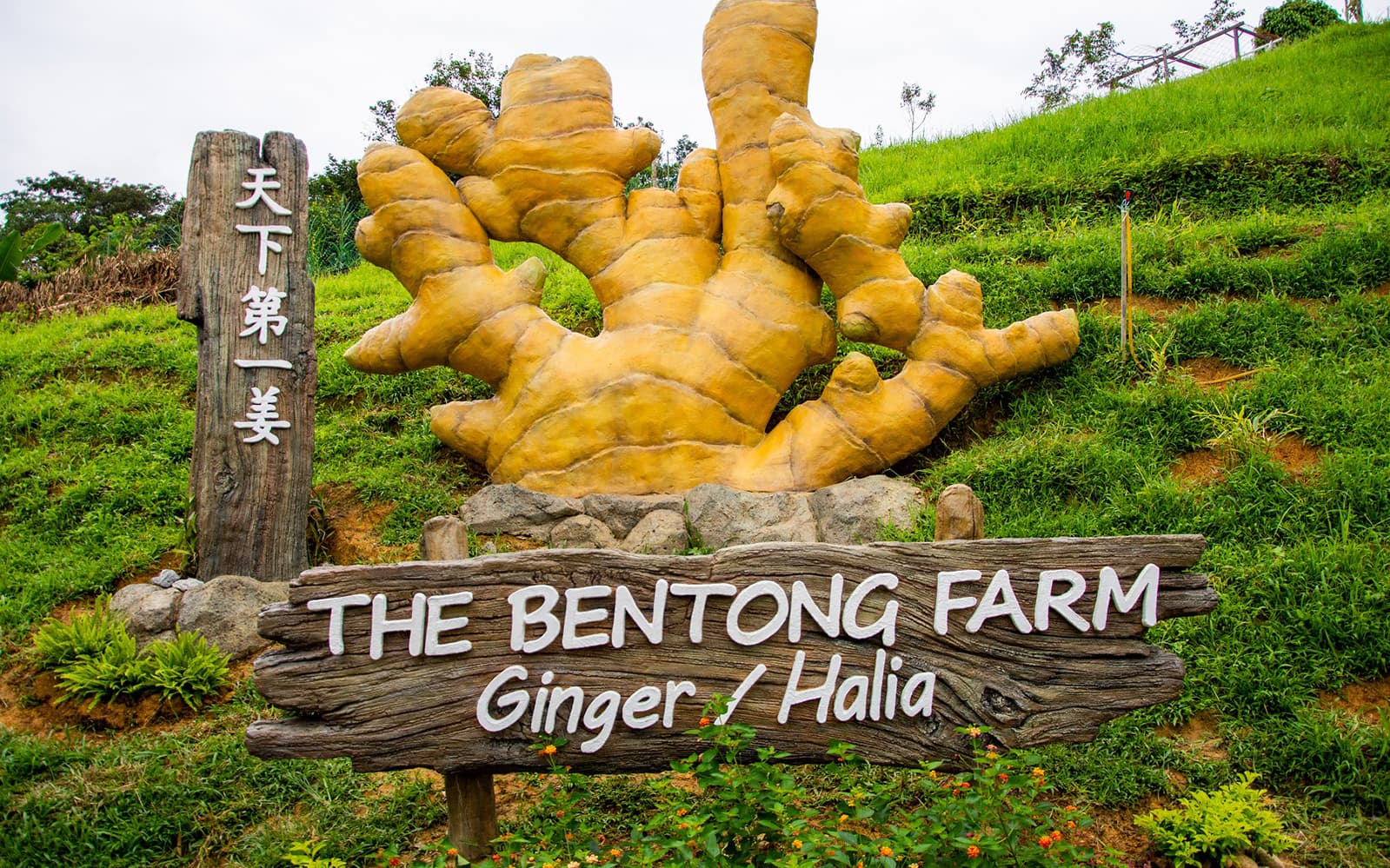 The Bentong Farm Entrance Tickets in Kuala Lumpur - Highlights | TickYourList