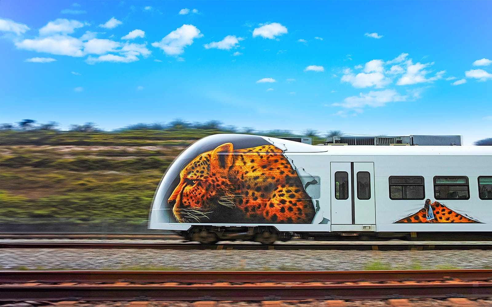 Train Transfers: KL Sentral to/from Kuala Lumpur International Airport by KLIA Ekspres experience tickets in Kuala Lumpur | TickYourList