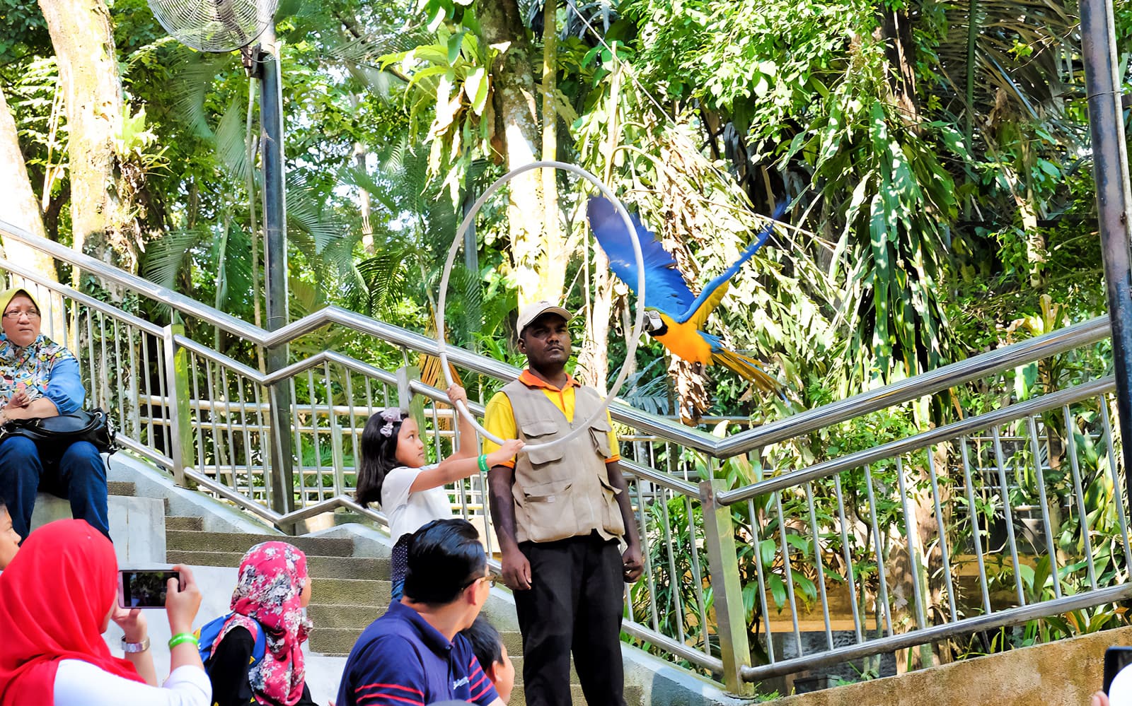 Kuala Lumpur Bird Park, Butterfly Park with Orchid and Hibiscus Garden Day Tour