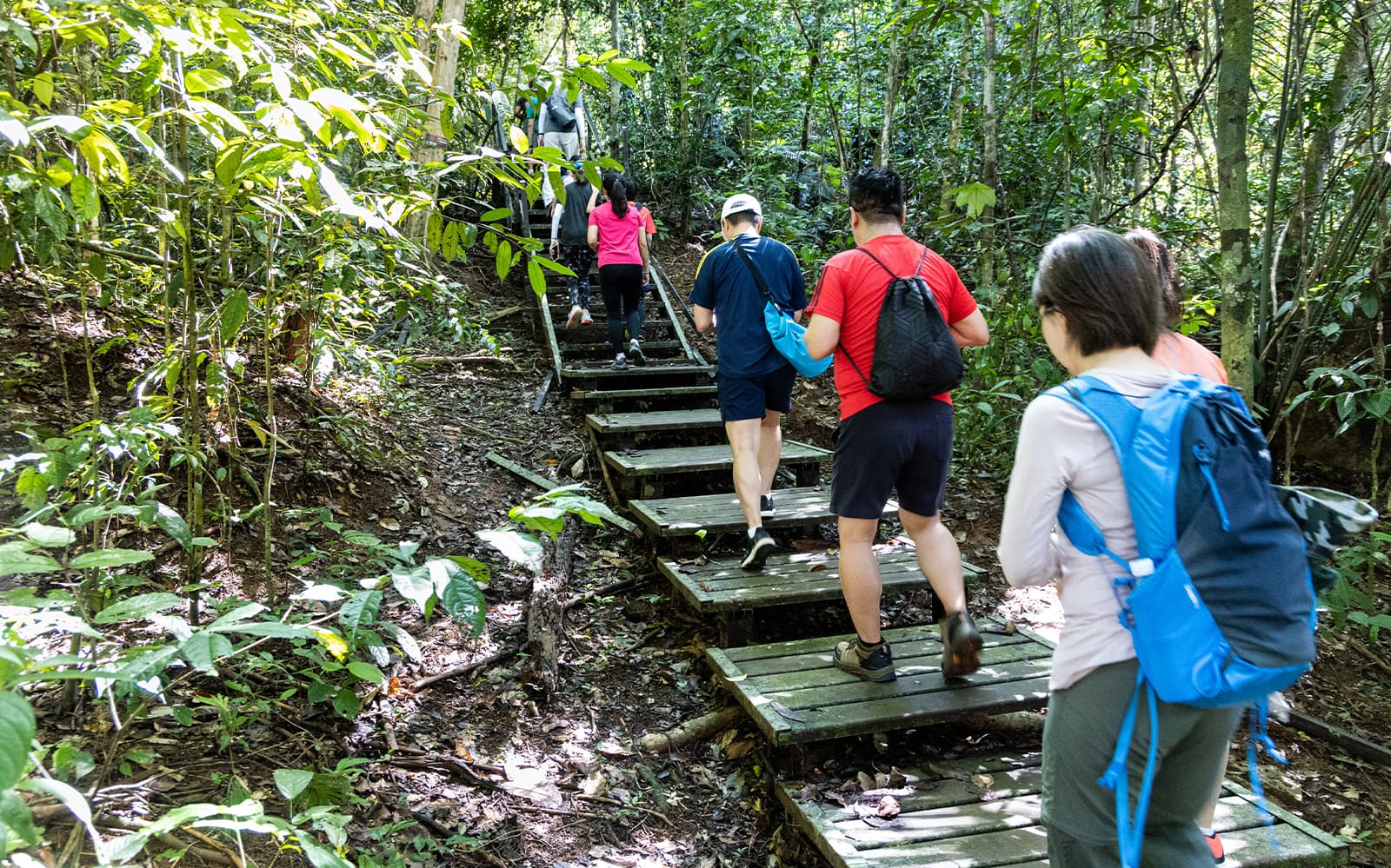 Nature Exploration Tour of Pahang National Park from Kuala Lumpur tickets in Kuala Lumpur - Attractions | TickYourList