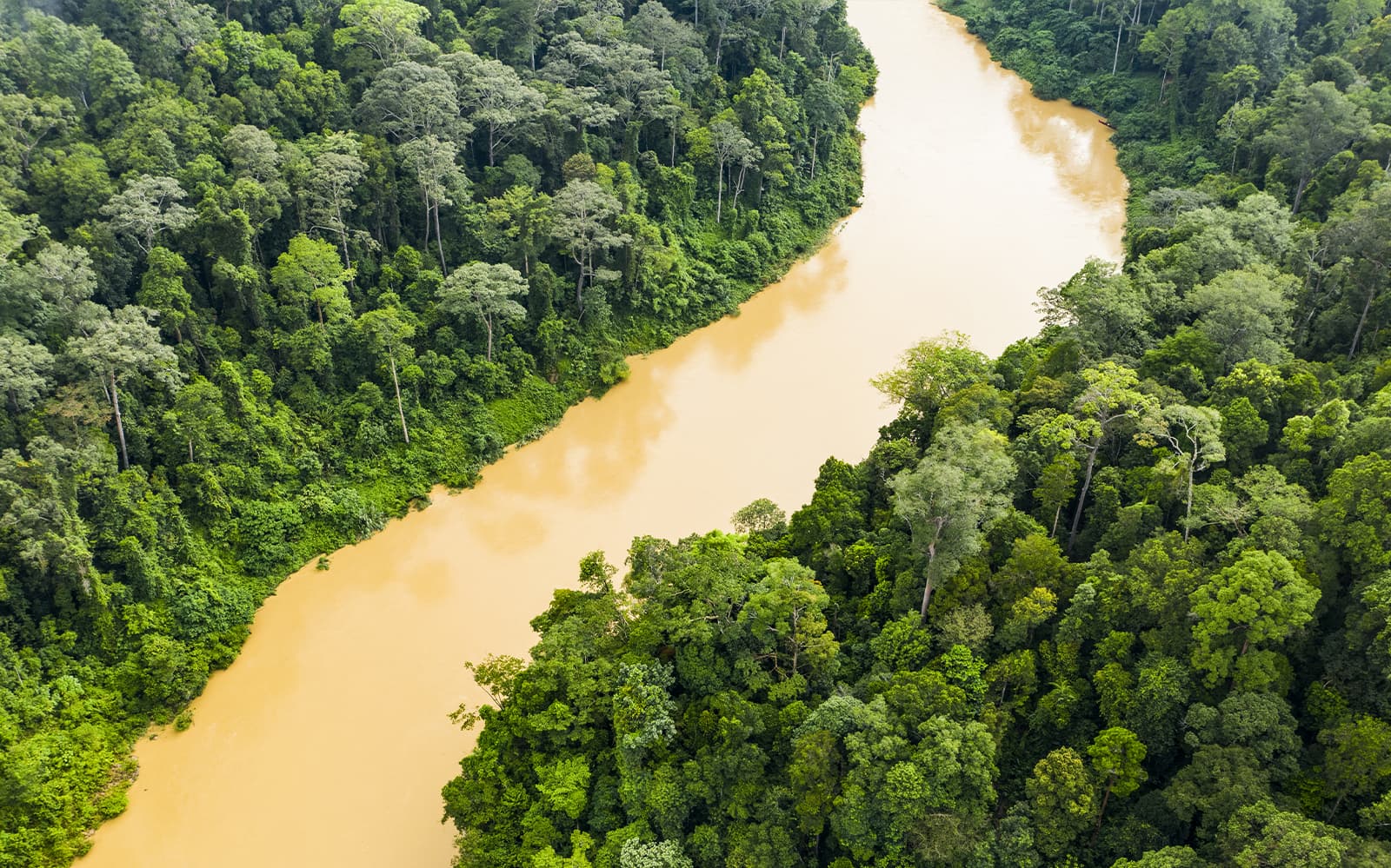Nature Exploration Tour of Pahang National Park from Kuala Lumpur tickets in Kuala Lumpur - Activities | TickYourList