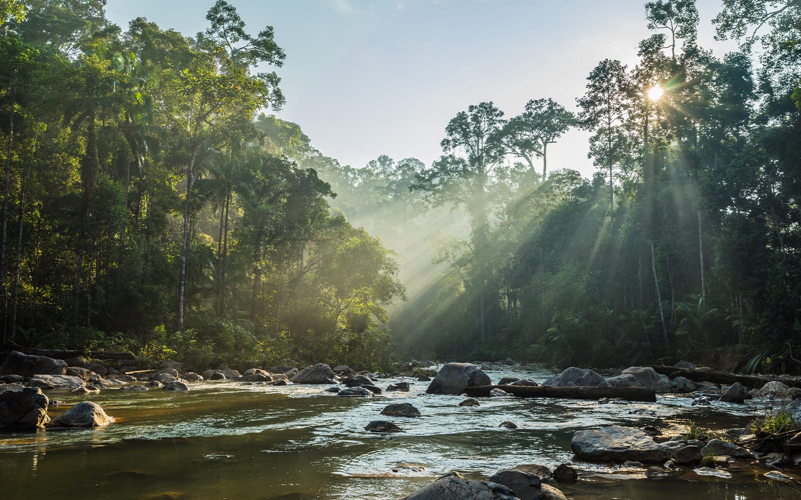 Nature Exploration Tour of Pahang National Park from Kuala Lumpur tickets in Kuala Lumpur - Highlights | TickYourList