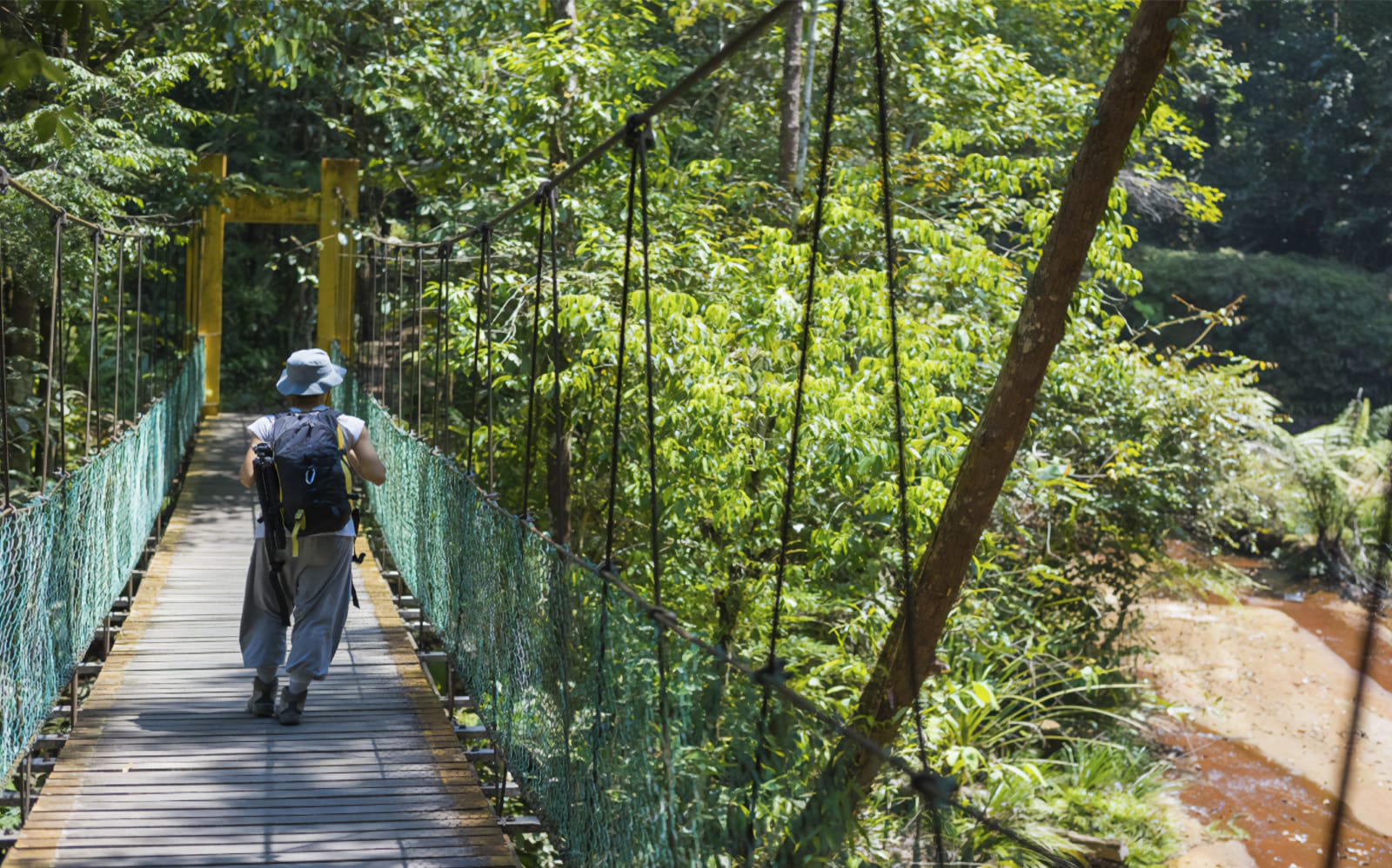 Nature Exploration Tour of Pahang National Park from Kuala Lumpur tickets in Kuala Lumpur - Features | TickYourList