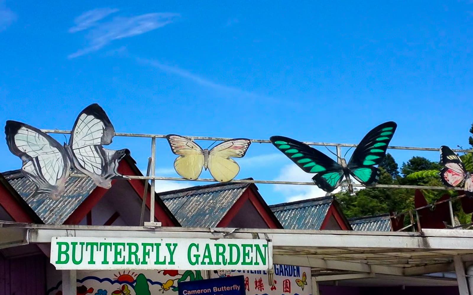 Cameron Highlands Tour from Kuala Lumpur tickets in Kuala Lumpur - Attractions | TickYourList