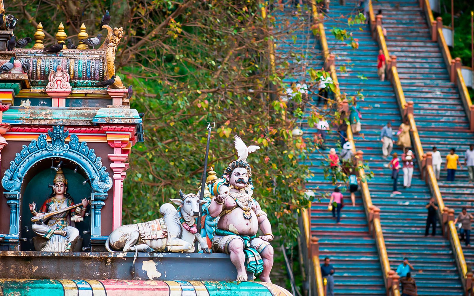 Elephant Sanctuary Wildlife Interaction and Batu Caves Tour from Kuala Lumpur tickets in Kuala Lumpur - Features | TickYourList