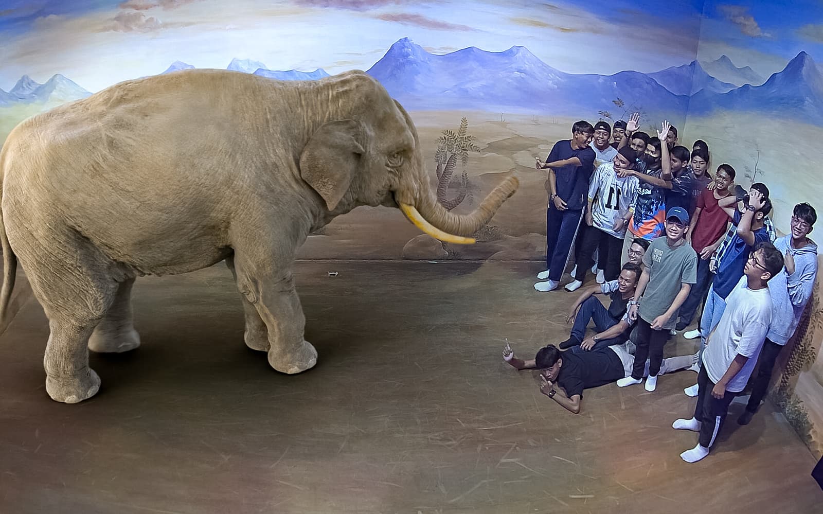 illusion 3D Art Museum Tickets