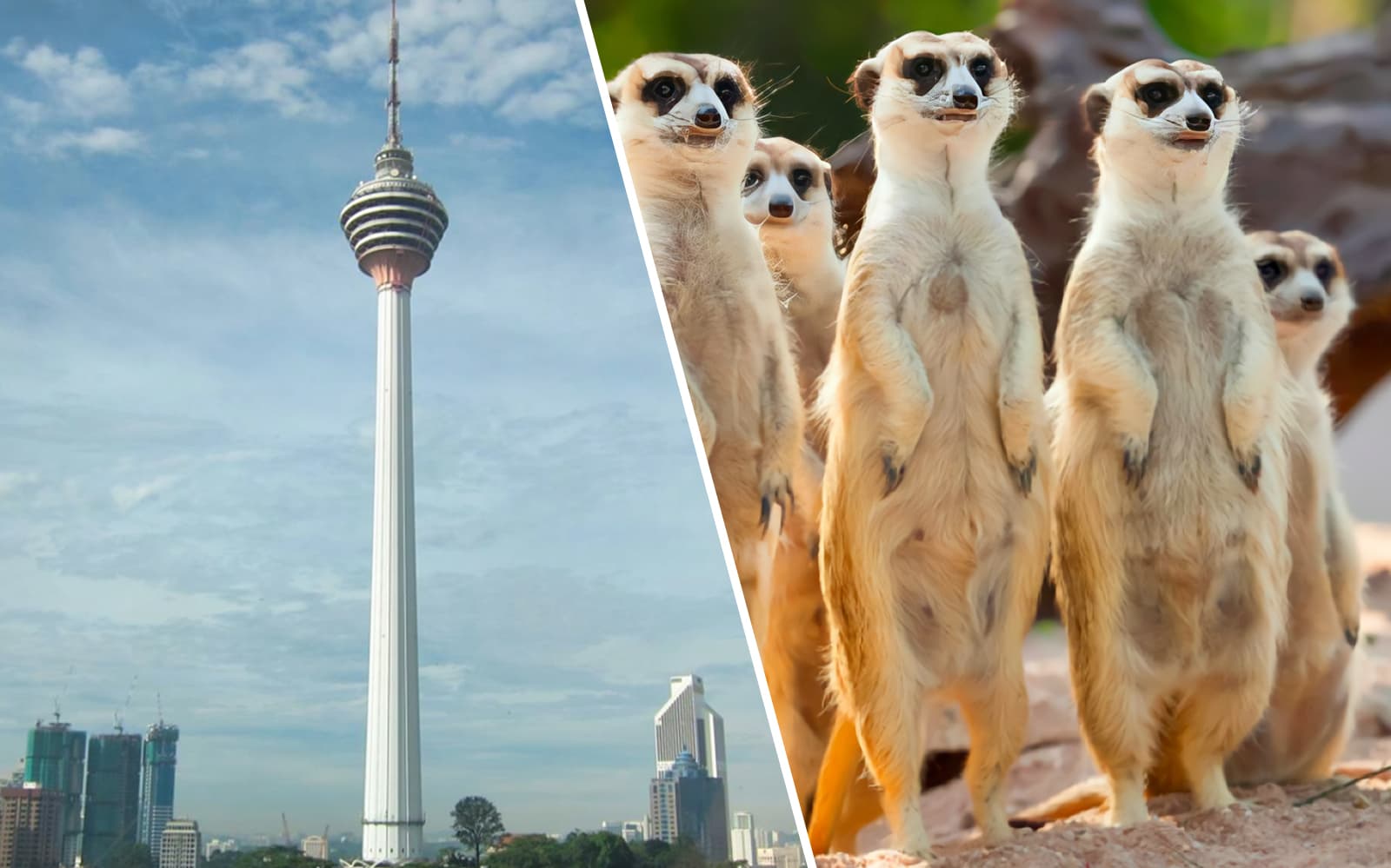 Combo: KL Tower + KL Tower Mini Zoo Tickets