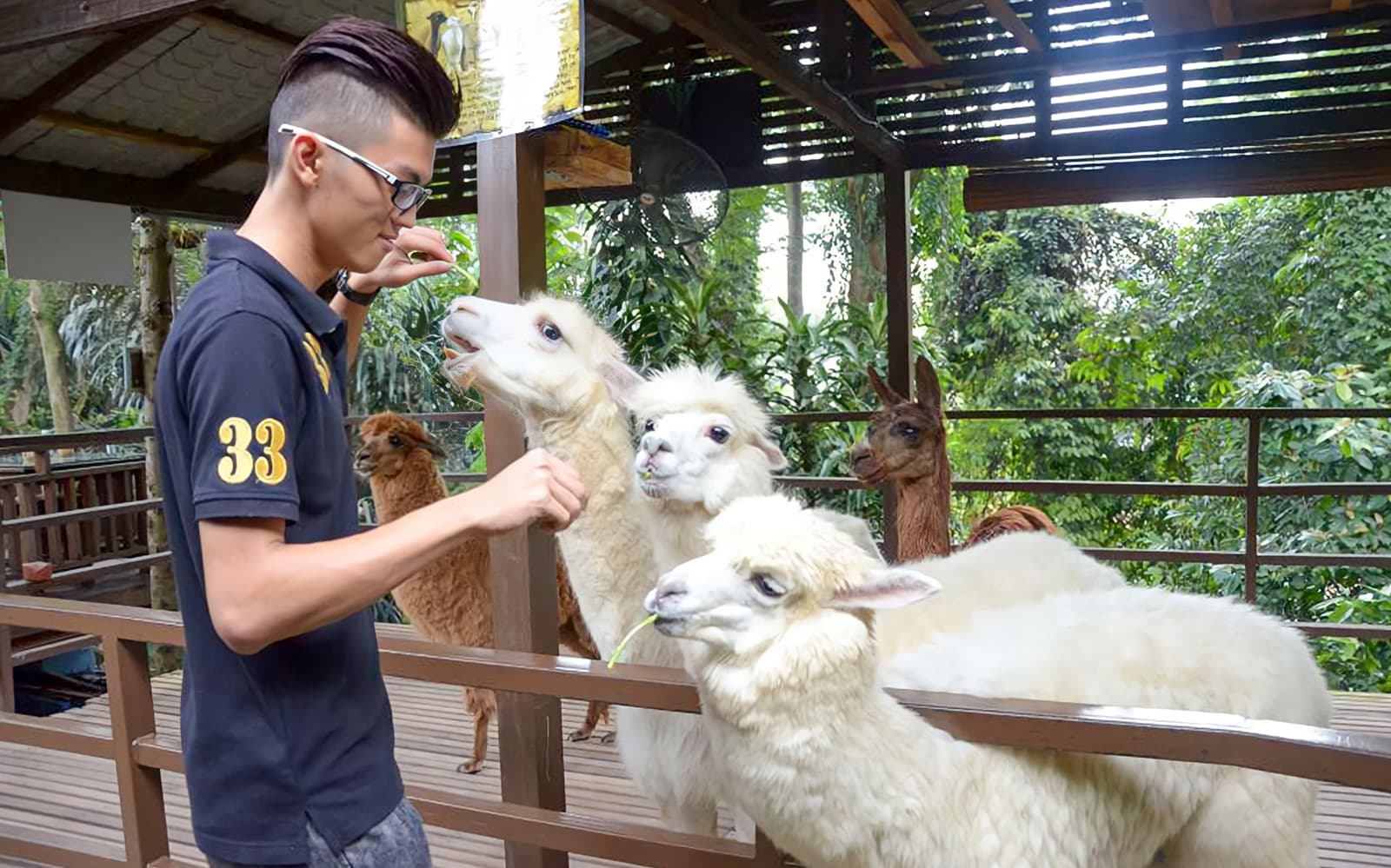 Combo: KL Tower + KL Tower Mini Zoo Tickets in Kuala Lumpur - Features | TickYourList