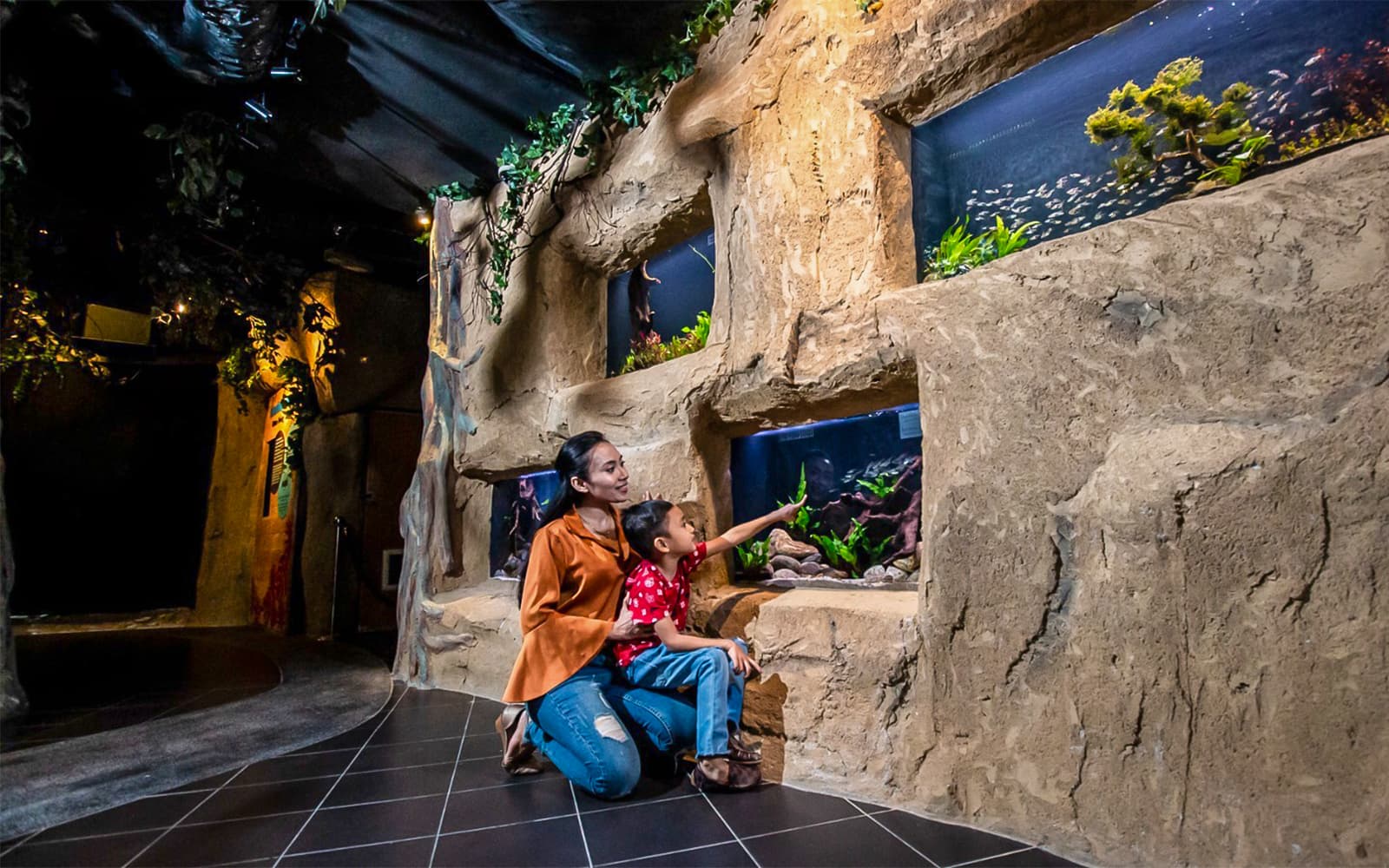 Combo (Save 12%): Aquaria KLCC + Sunway Lagoon Tickets in Kuala Lumpur - Attractions | TickYourList