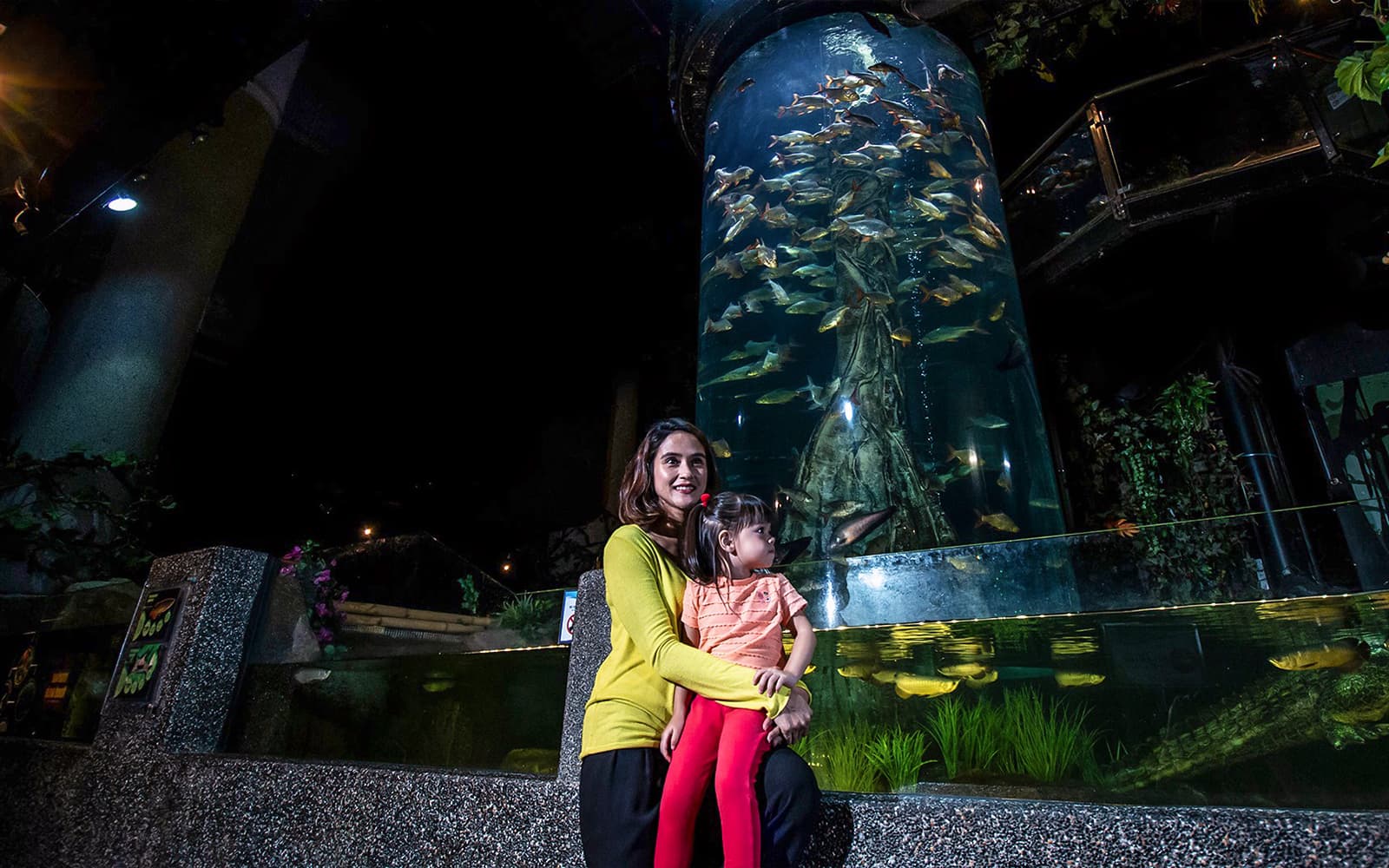 Combo (Save 12%): Aquaria KLCC + Sunway Lagoon Tickets in Kuala Lumpur - Activities | TickYourList
