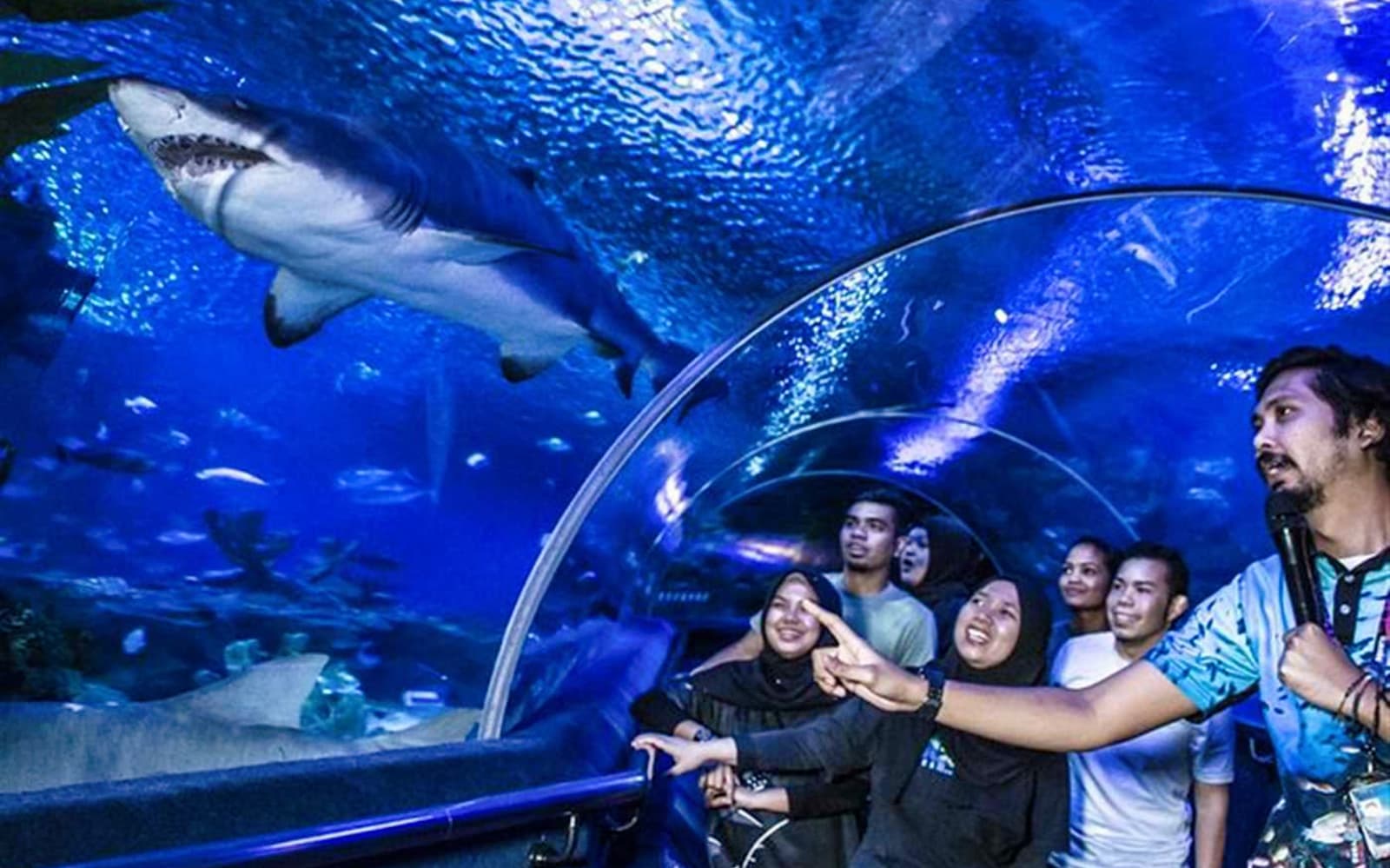 Combo: Aquaria KLCC Admission Ticket + Malaysia 4G Tourist Local SIM Card