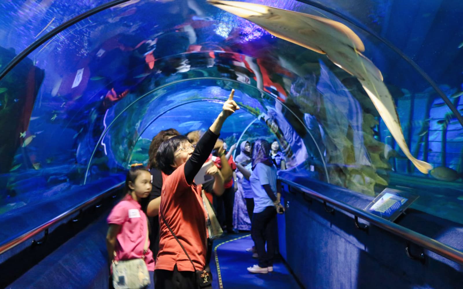 Combo: Aquaria KLCC Admission Ticket + Malaysia 4G Tourist Local SIM Card in Kuala Lumpur - Attractions | TickYourList