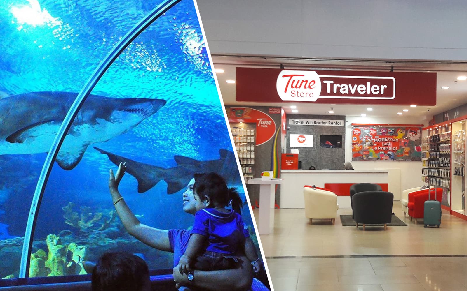 Combo: Aquaria KLCC Admission Ticket + Malaysia 4G Tourist Local SIM Card in Kuala Lumpur - Activities | TickYourList