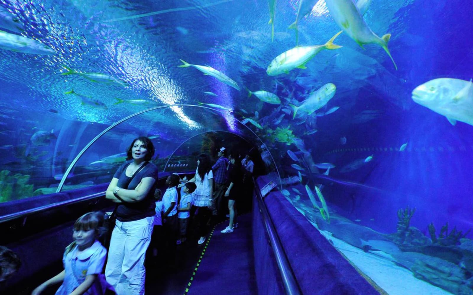 Combo: Aquaria KLCC Admission Ticket + Malaysia 4G Tourist Local SIM Card in Kuala Lumpur - Features | TickYourList