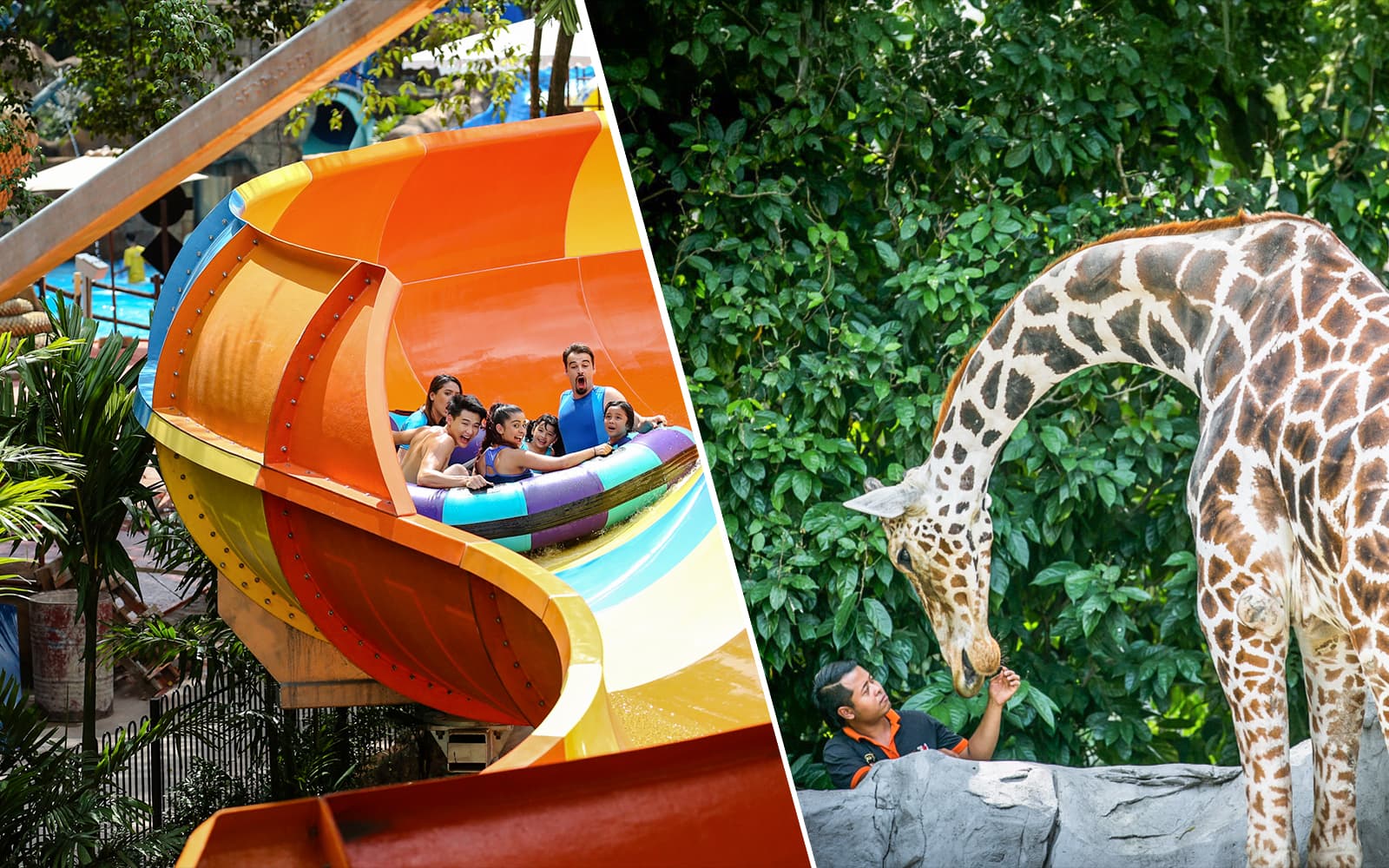 Combo (Save 14%) : Sunway Lagoon Theme Park Tickets + Zoo Negara Tickets experience in Kuala Lumpur | TickYourList