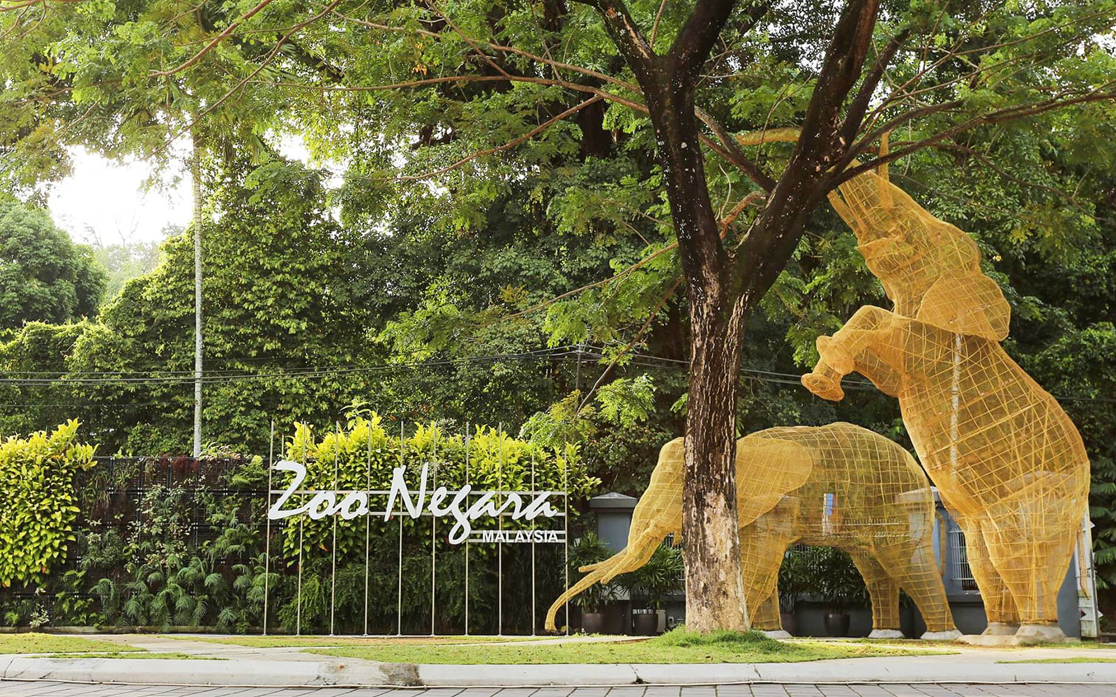 Combo (Save 14%) : Sunway Lagoon Theme Park Tickets + Zoo Negara Tickets in Kuala Lumpur - Attractions | TickYourList