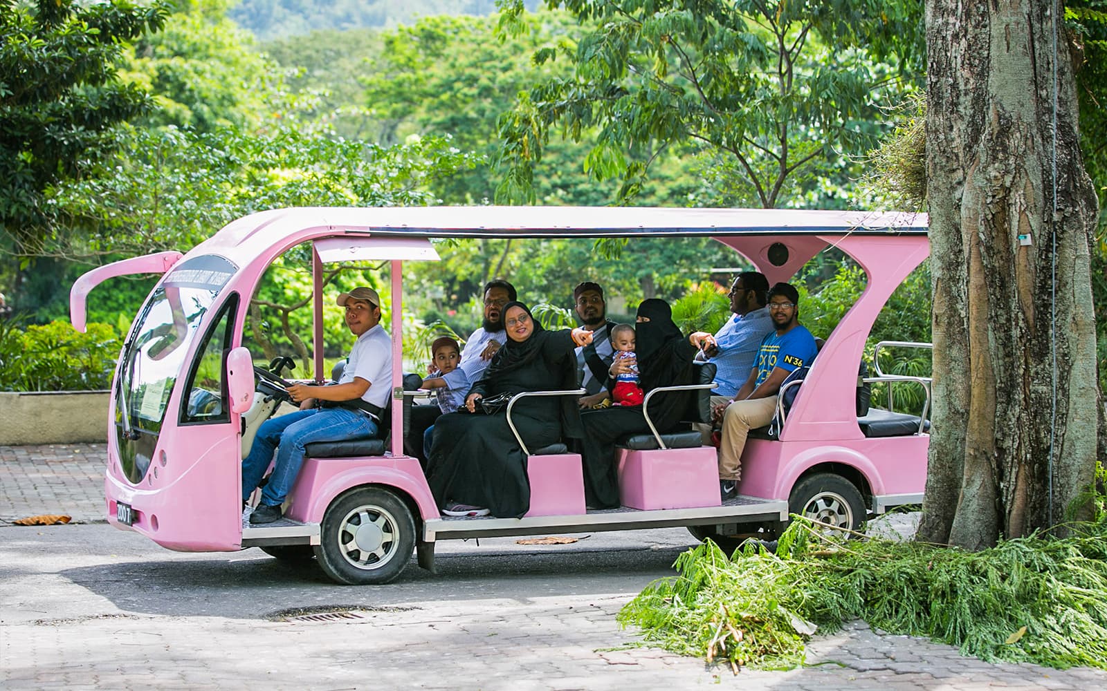 Combo: KL Tower Mini Zoo + Zoo Negara Tickets in Kuala Lumpur - Activities | TickYourList