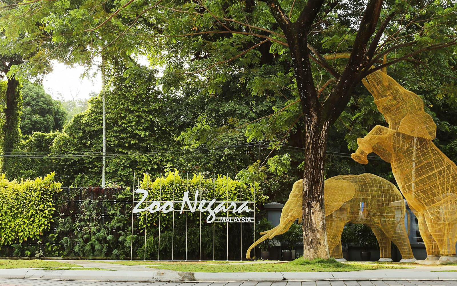 Combo: KL Tower Mini Zoo + Zoo Negara Tickets in Kuala Lumpur - Features | TickYourList