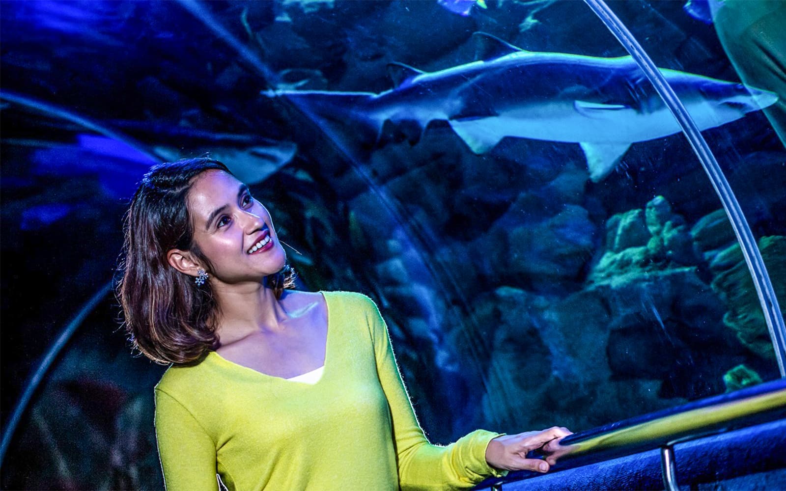 Combo (Save 13%): Aquaria KLCC + KL Tower Tickets in Kuala Lumpur - Attractions | TickYourList