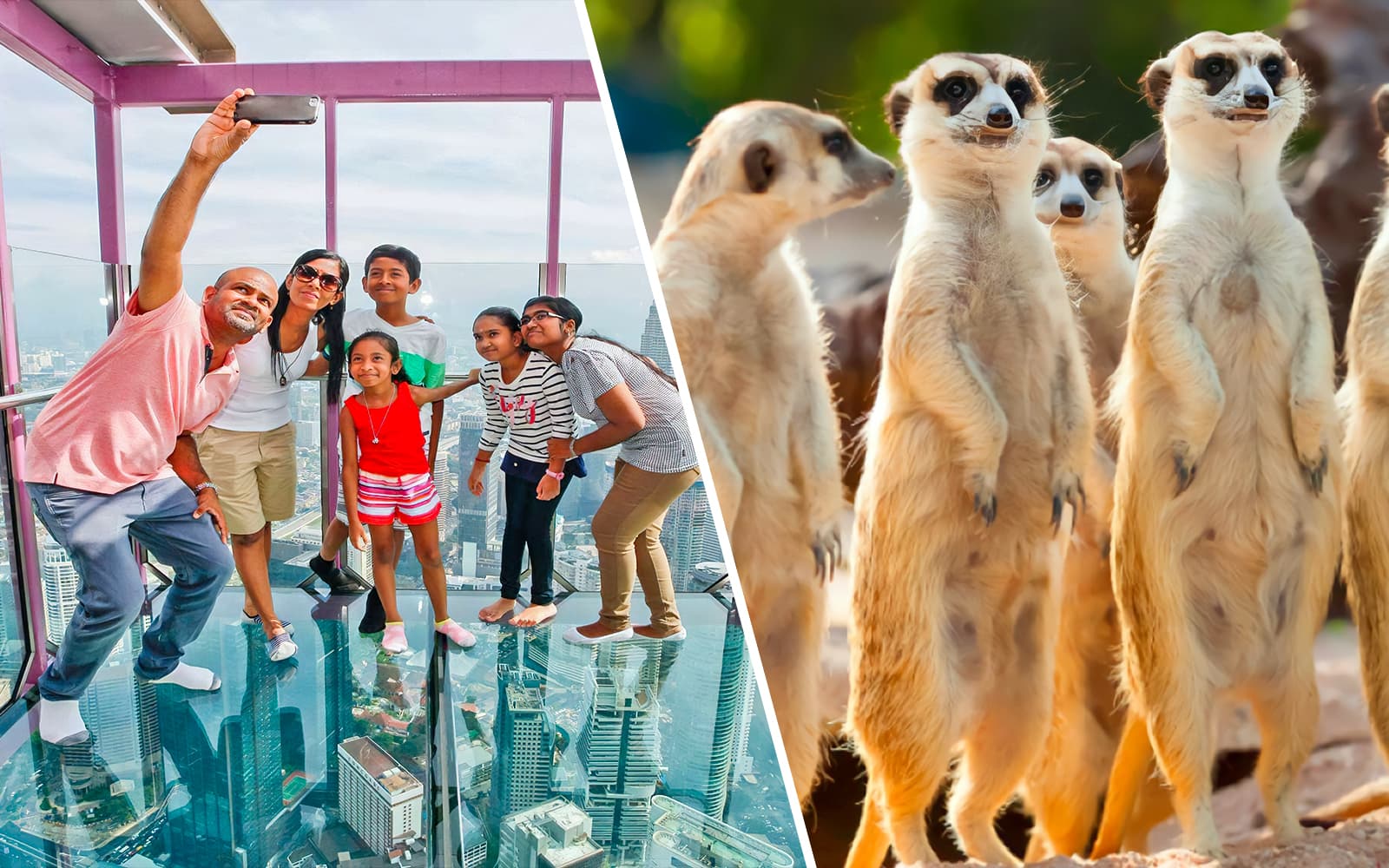 Combo: Kuala Lumpur Tower + KL Tower Mini Zoo + KL Upside Down House Entry Tickets