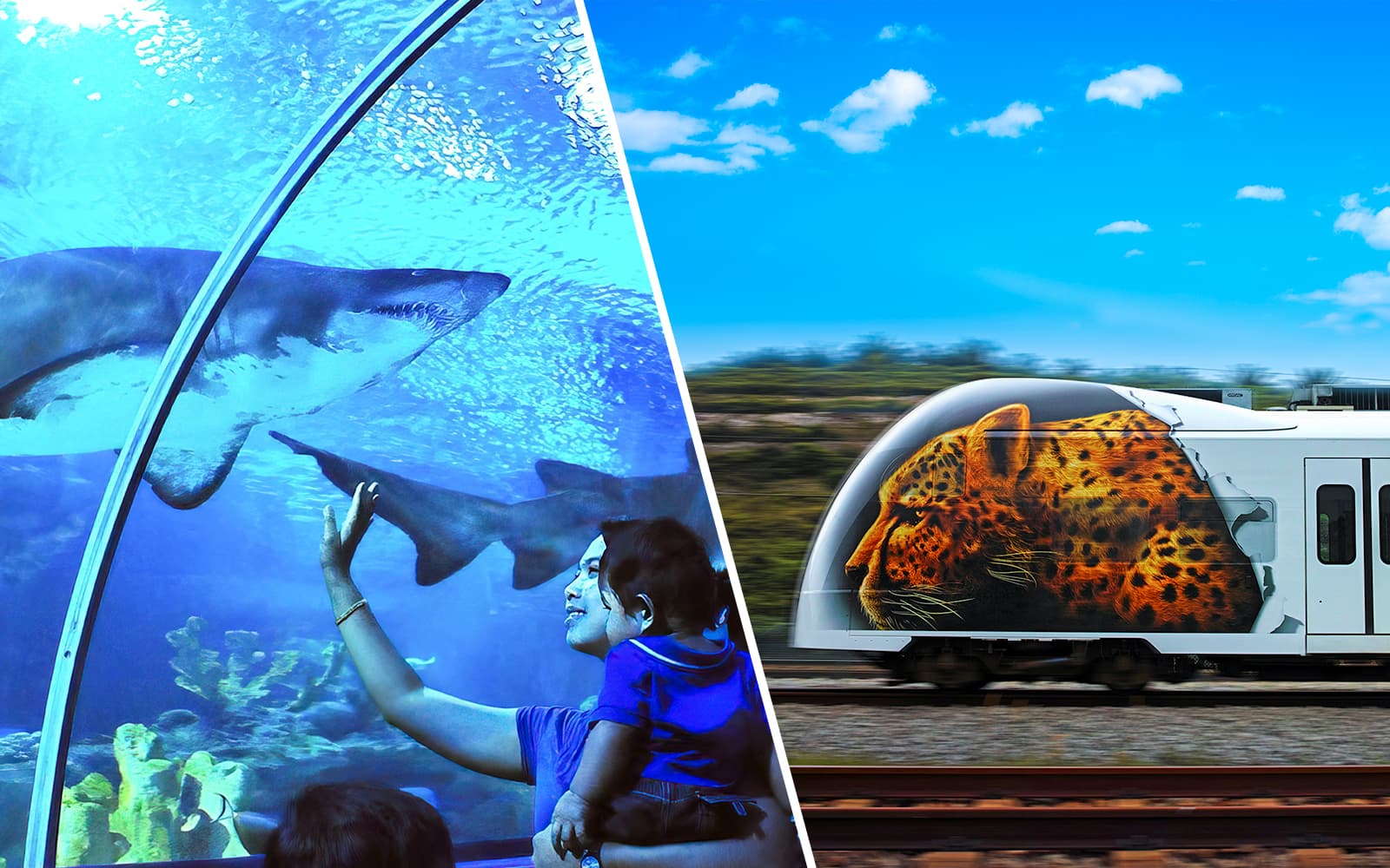 Combo (Save 8%): Skip-the-Line Tickets to Aquaria KLCC + KLIA Ekspres Train Tickets experience in Kuala Lumpur | TickYourList