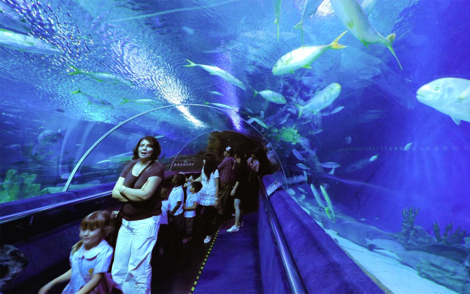 Combo (Save 8%): Skip-the-Line Tickets to Aquaria KLCC + KLIA Ekspres Train Tickets in Kuala Lumpur - Attractions | TickYourList