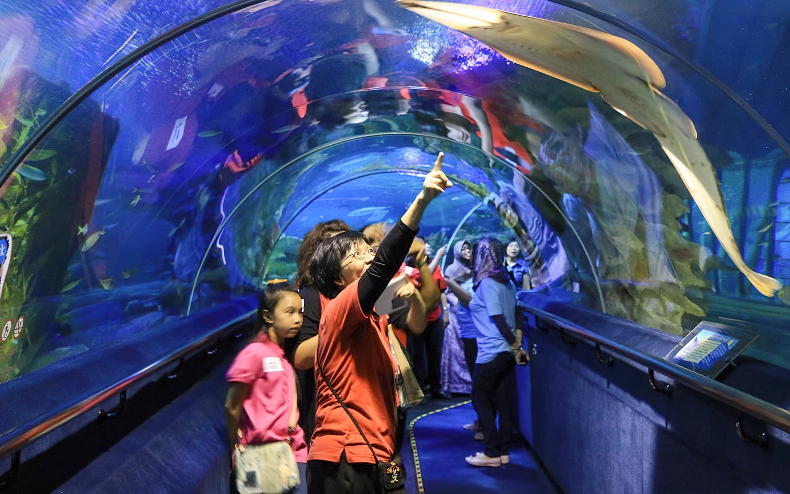 Combo (Save 8%): Skip-the-Line Tickets to Aquaria KLCC + KLIA Ekspres Train Tickets in Kuala Lumpur - Highlights | TickYourList