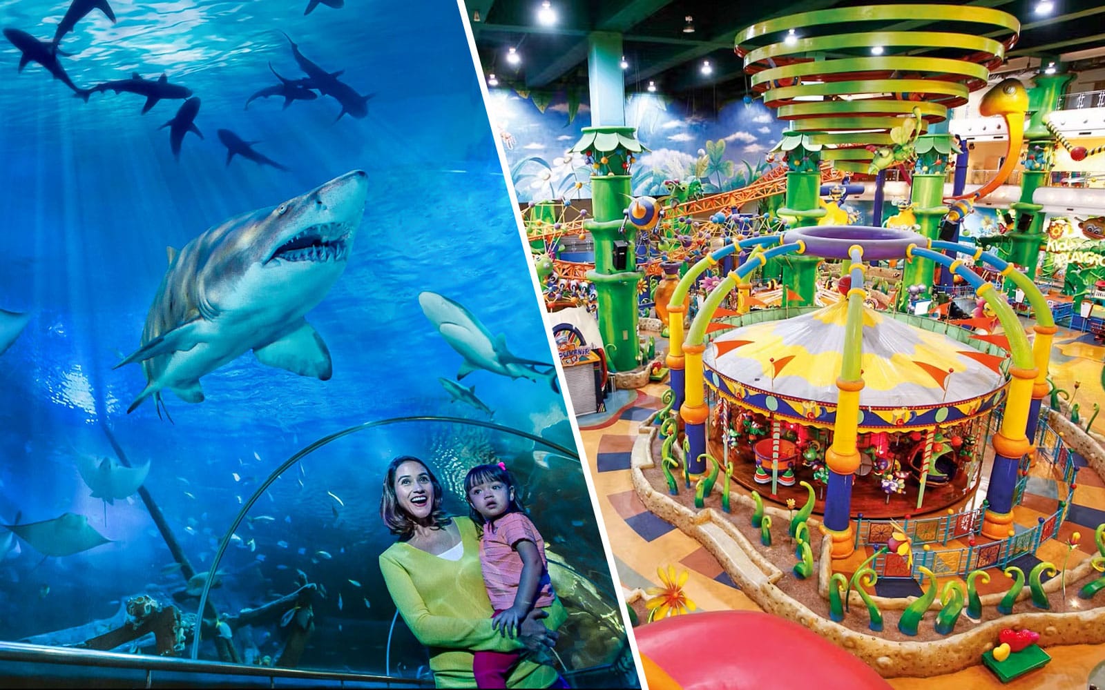 Combo: Aquaria KLCC + Berjaya Times Square Theme Park Tickets experience in Kuala Lumpur | TickYourList