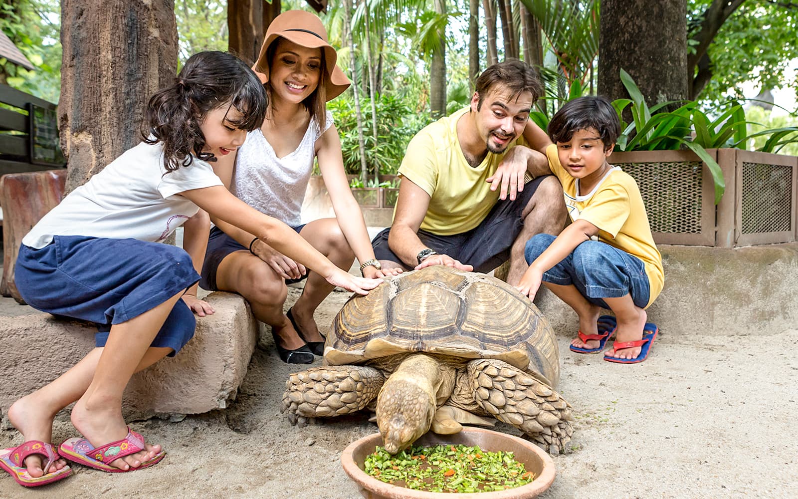 Combo (Save 14%): Sunway Lagoon Theme Park + KL Tower Tickets in Kuala Lumpur - Attractions | TickYourList