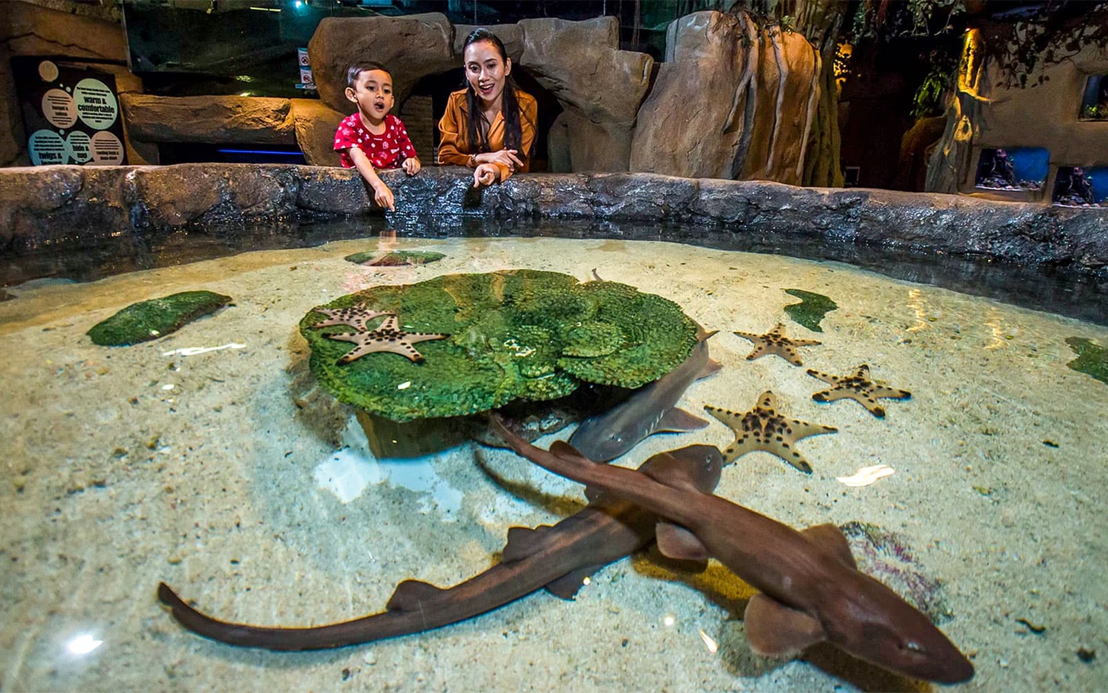 Combo (Save 43%): Aquaria KLCC + Genting SkyWorld Outdoor Theme Park Tickets in Kuala Lumpur - Attractions | TickYourList