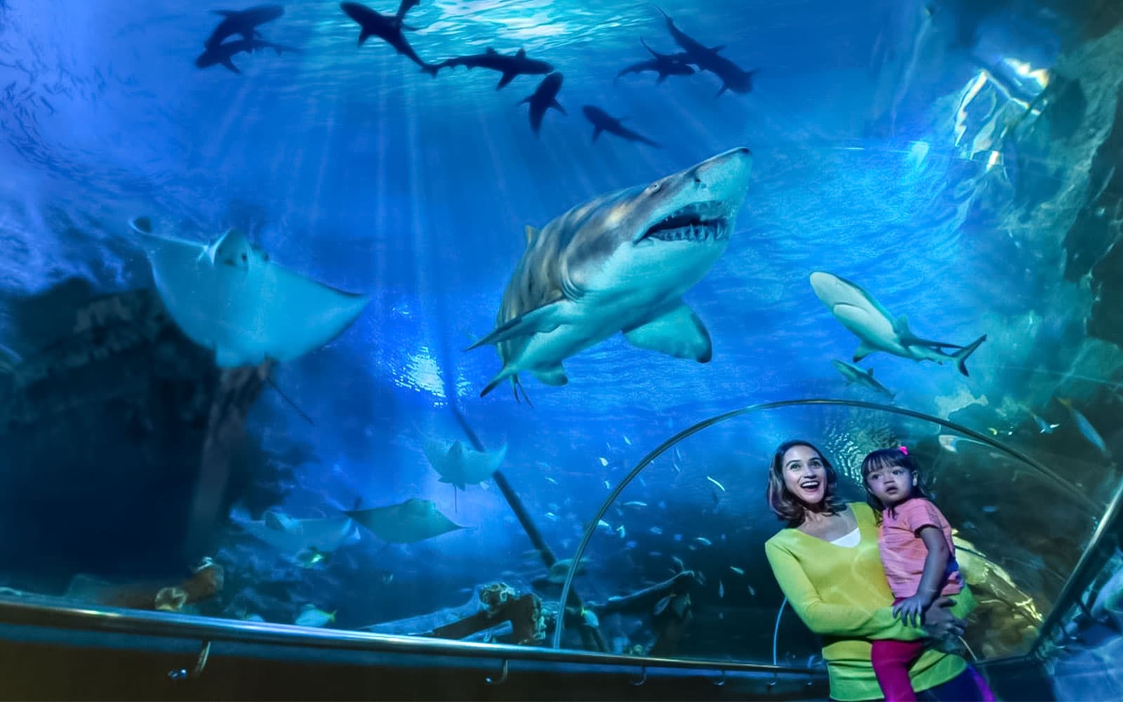 Combo (Save 43%): Aquaria KLCC + Genting SkyWorld Outdoor Theme Park Tickets in Kuala Lumpur - Highlights | TickYourList