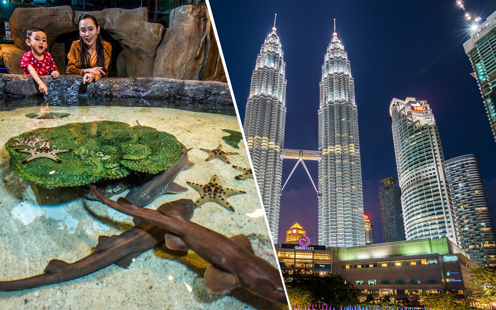 Combo (Save 9%): Aquaria KLCC + Petronas Twin Towers Tickets experience in Kuala Lumpur | TickYourList