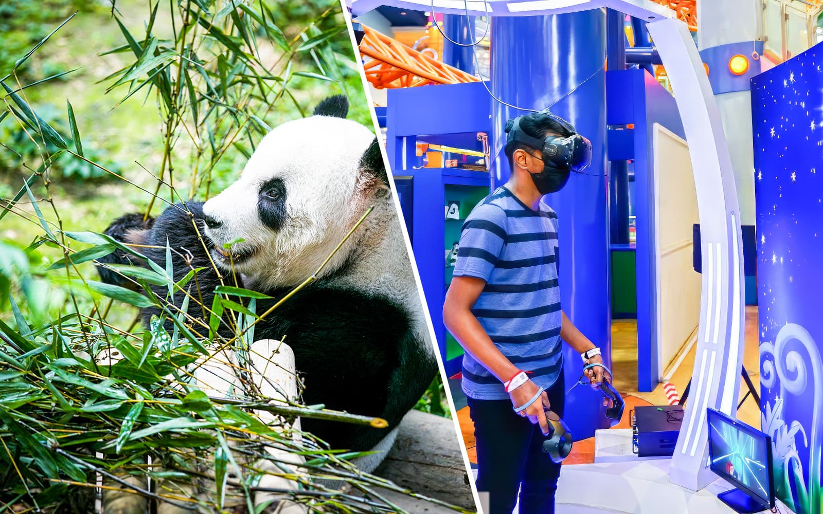 Combo (Save 3%): Zoo Negara & Panda Conservation Centre + Berjaya Times Square Theme Park Tickets