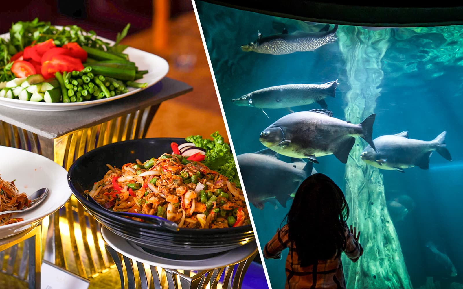 Combo (Save 7%): Dinner Buffet at ORBIT in KL Tower + Aquaria KLCC Tickets