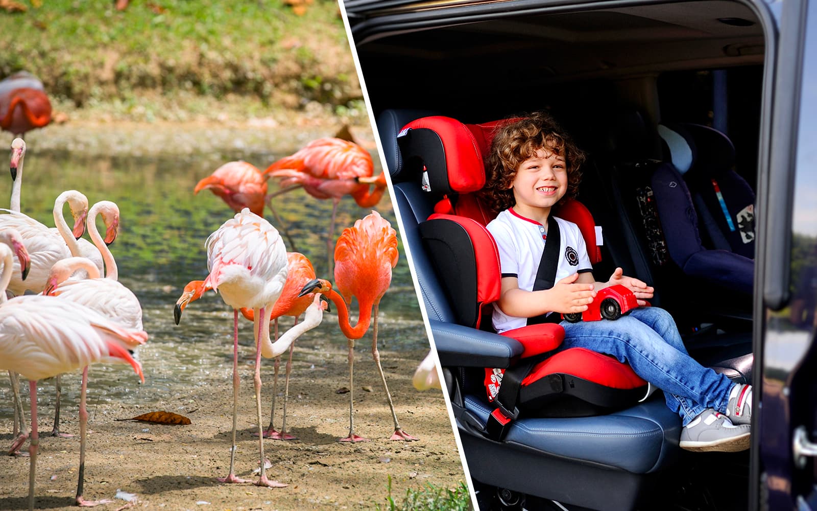 Combo (Save 5%): Zoo Negara & Panda Conservation Centre Tickets + Round-Trip Hotel Transfers