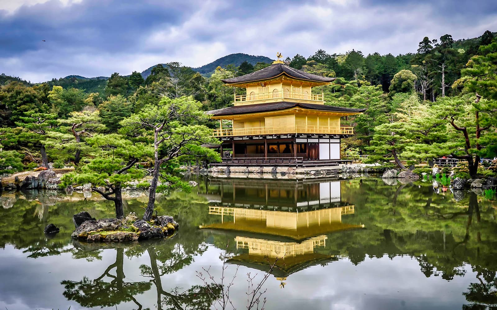 One Day Kyoto & Nara Tour-Golden Pavilion and Todai-ji Temple tickets in Kyoto - Attractions | TickYourList