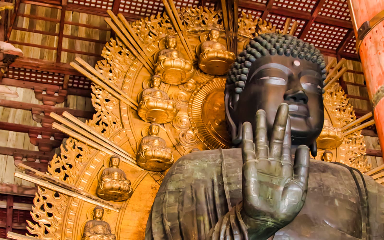 One Day Kyoto & Nara Tour-Golden Pavilion and Todai-ji Temple tickets in Kyoto - Activities | TickYourList