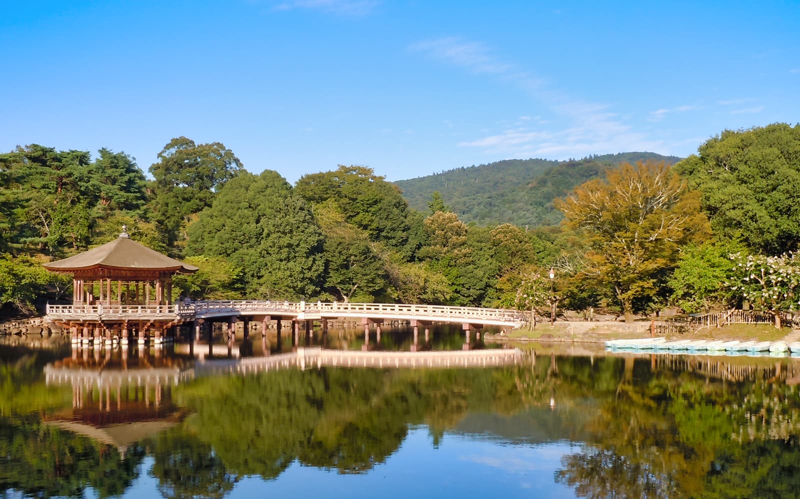 One Day Kyoto & Nara Tour-Golden Pavilion and Todai-ji Temple tickets in Kyoto - Features | TickYourList