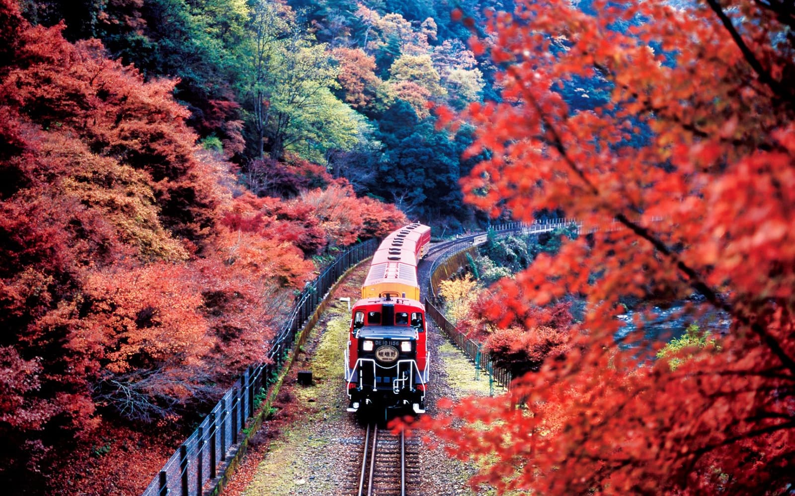 Sagano Romantic Train One Way Ticket in Kyoto - Attractions | TickYourList