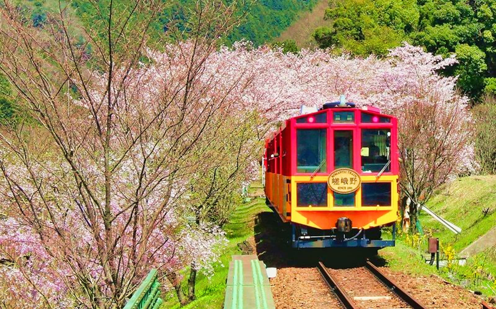 Sagano Romantic Train One Way Ticket in Kyoto - Activities | TickYourList