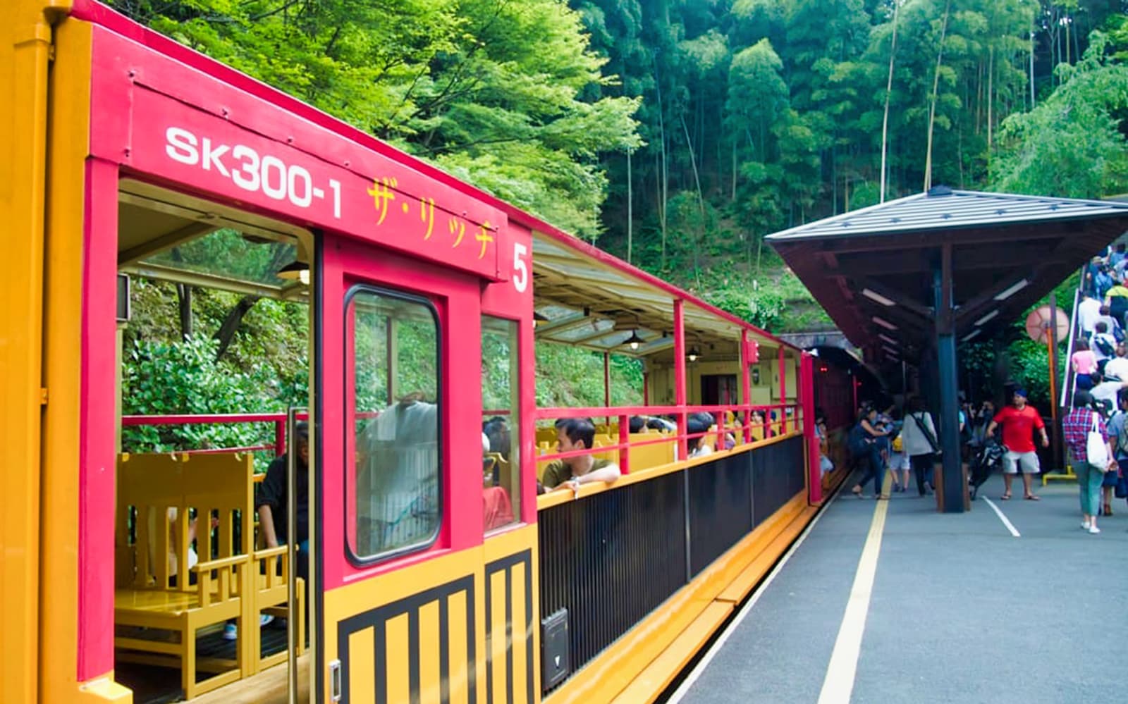 Sagano Romantic Train One Way Ticket in Kyoto - Features | TickYourList