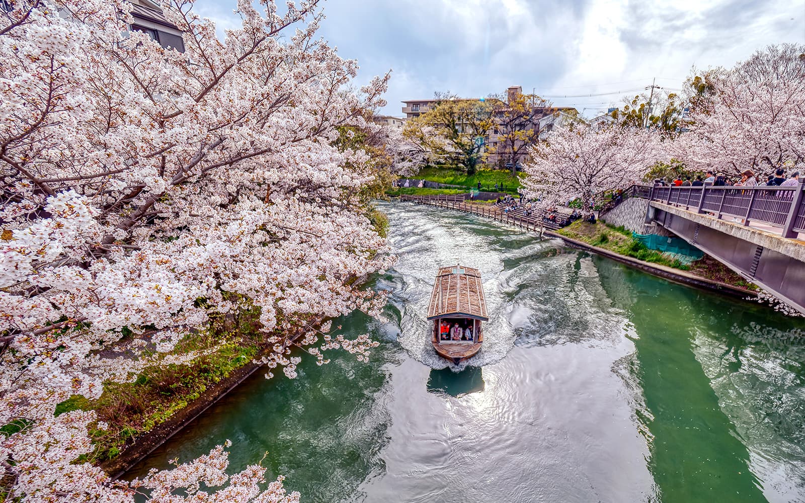 1-Day Kyoto Sightseeing Pass with Keihan Railway tickets in Kyoto - Highlights | TickYourList