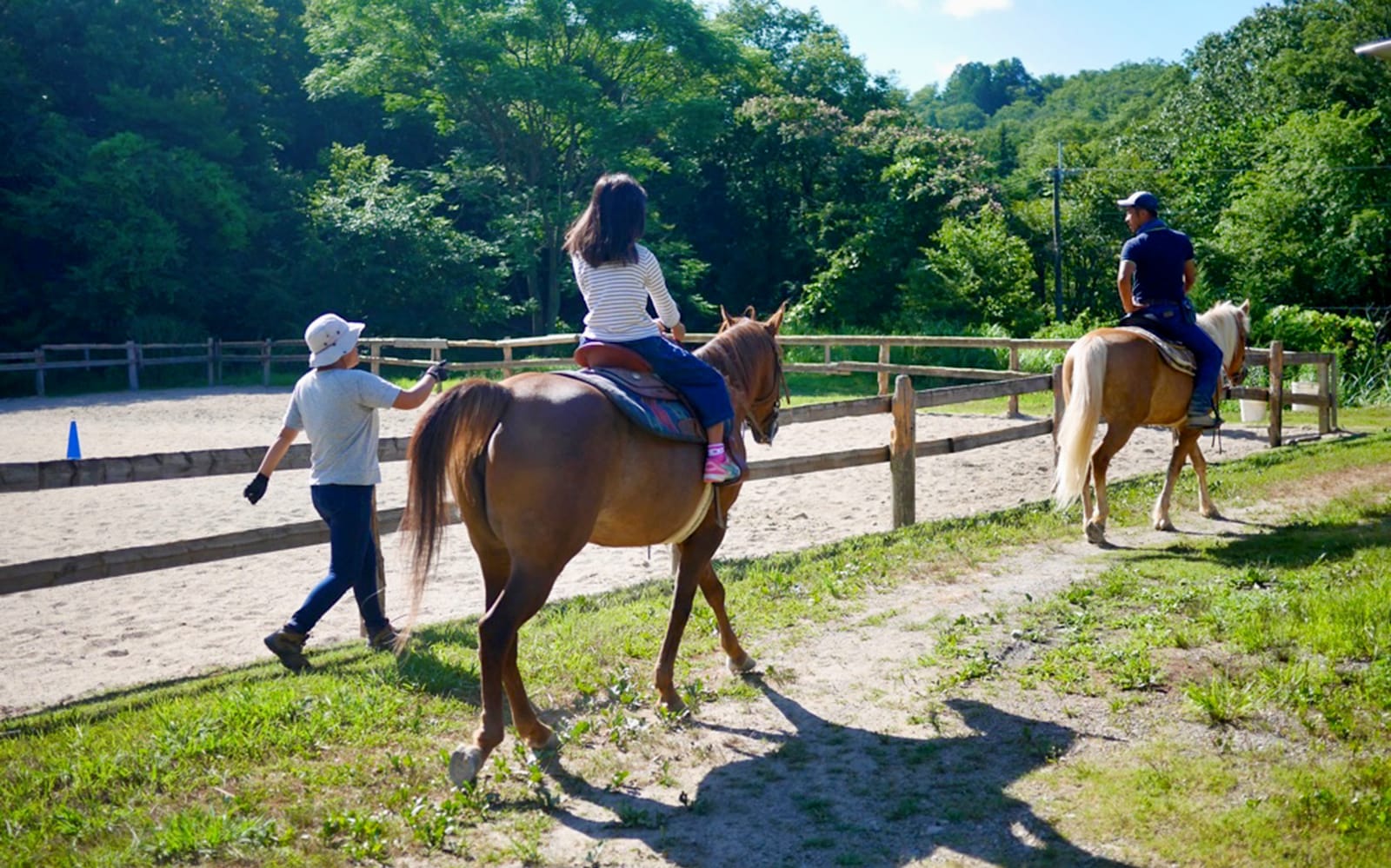 Horse Riding in Kyoto Nature tickets in Kyoto - Attractions | TickYourList