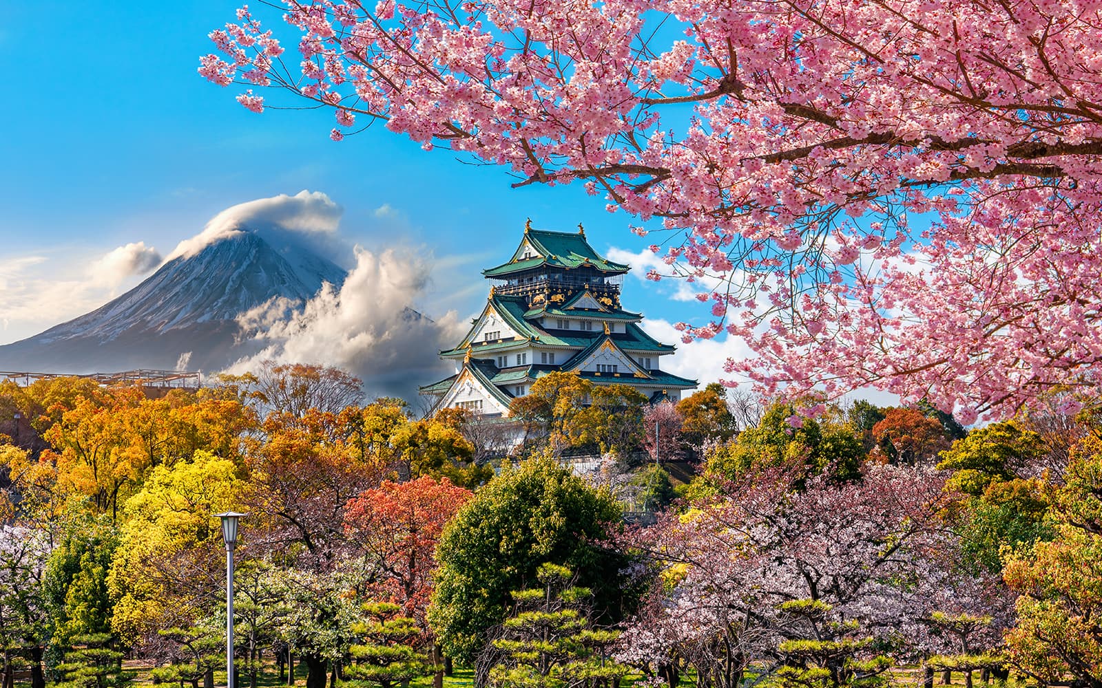 Osaka ICOCA IC Card: Public Transport & Discounts tickets in Osaka - Attractions | TickYourList