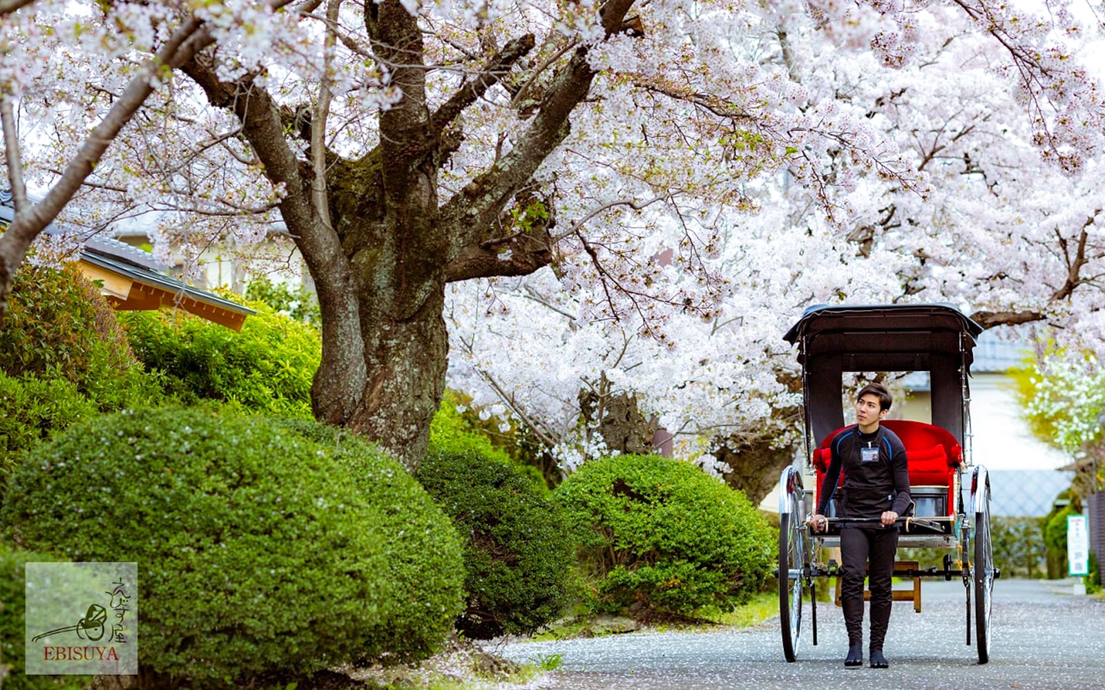 Kyoto Arashiyama Rickshaw Experience tickets in Kyoto - Attractions | TickYourList