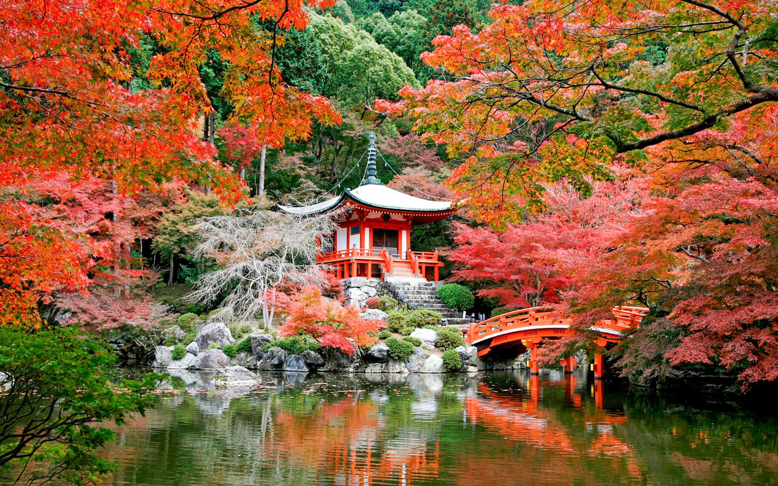Daigoji Temple Guided Tour with Breakfast