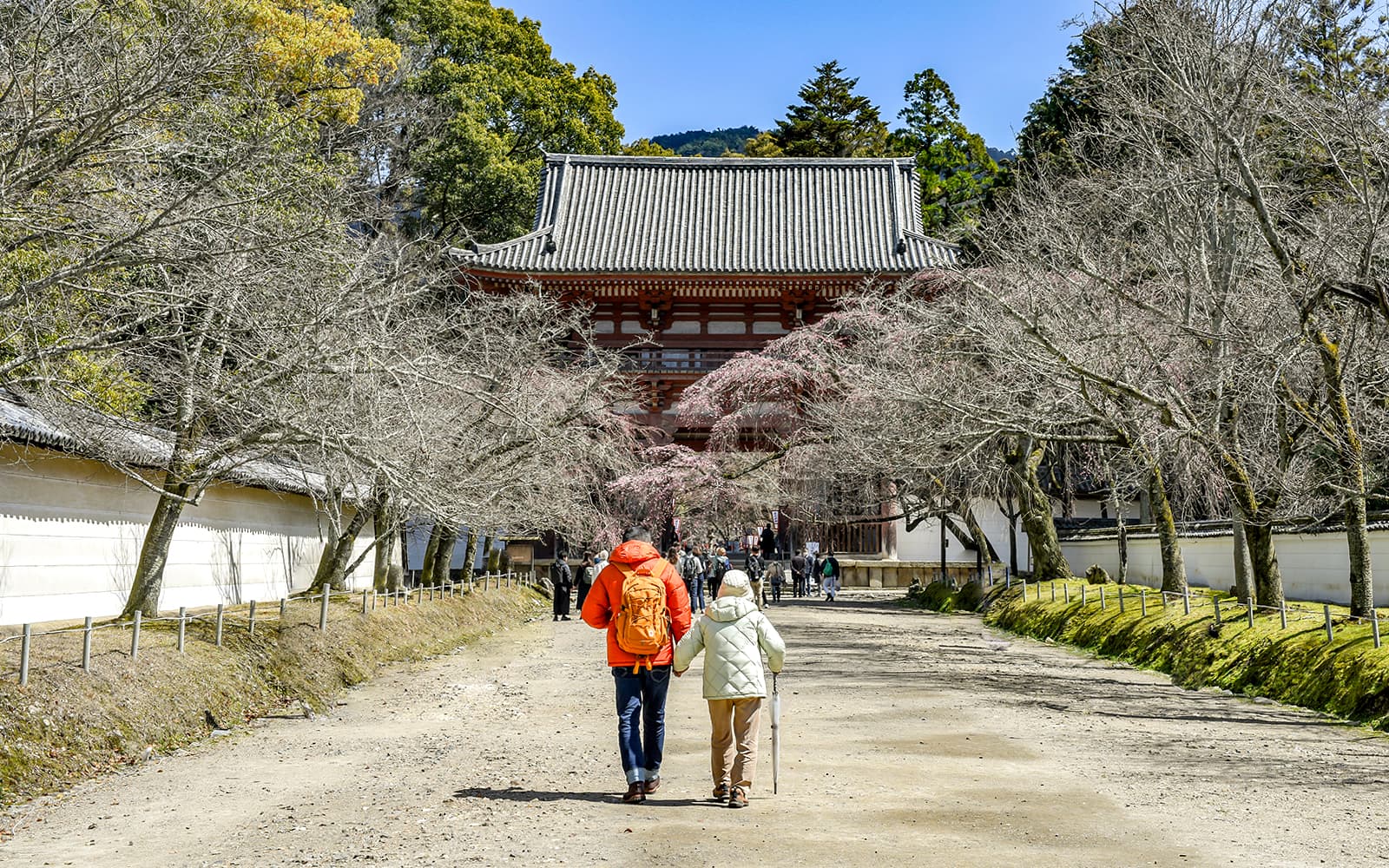 Daigoji Temple Guided Tour with Breakfast tickets in Kyoto - Highlights | TickYourList