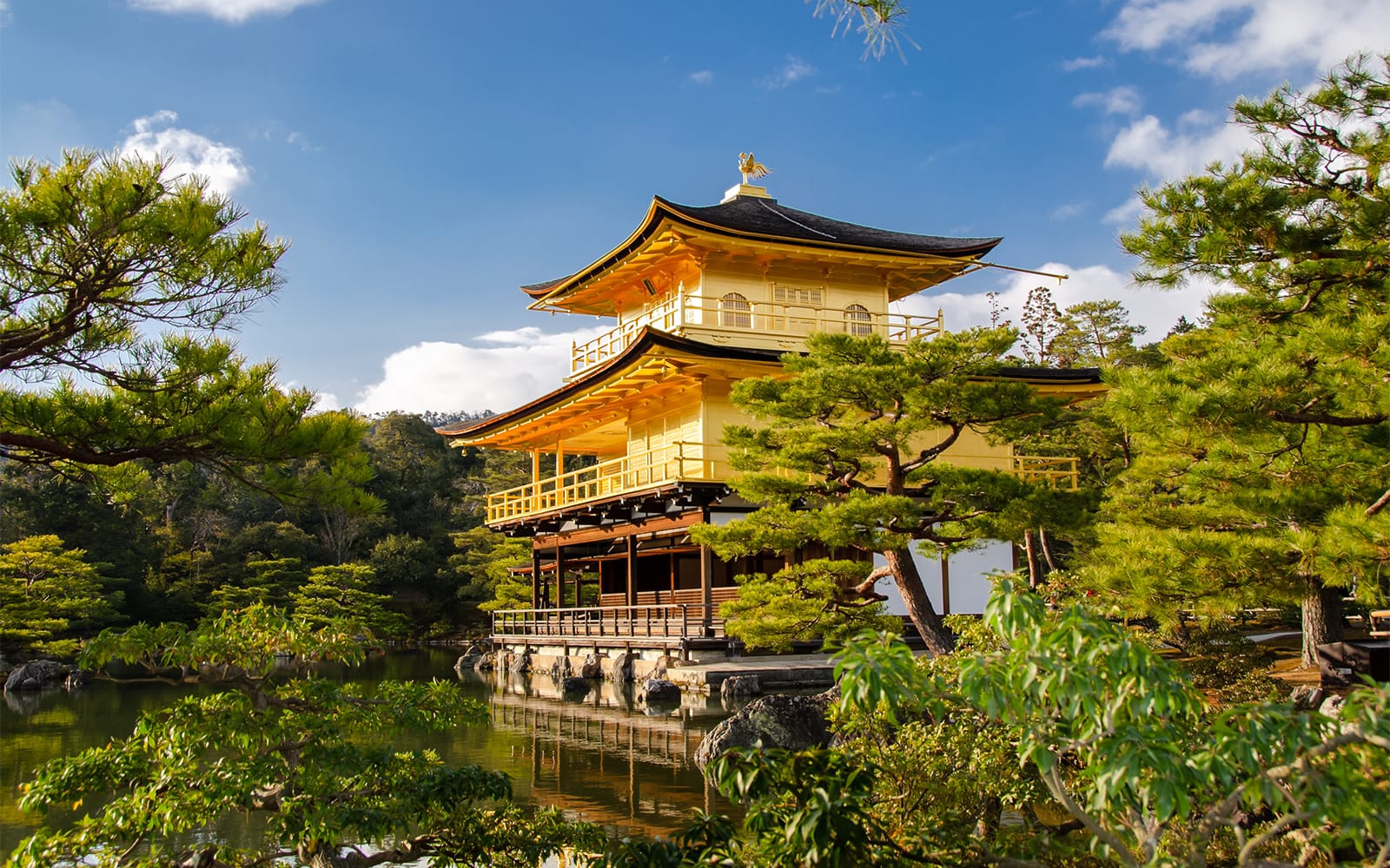 Full-Day Guided Day Tour of Kyoto Heritage Sites with Optional Lunch tickets in Kyoto - Attractions | TickYourList