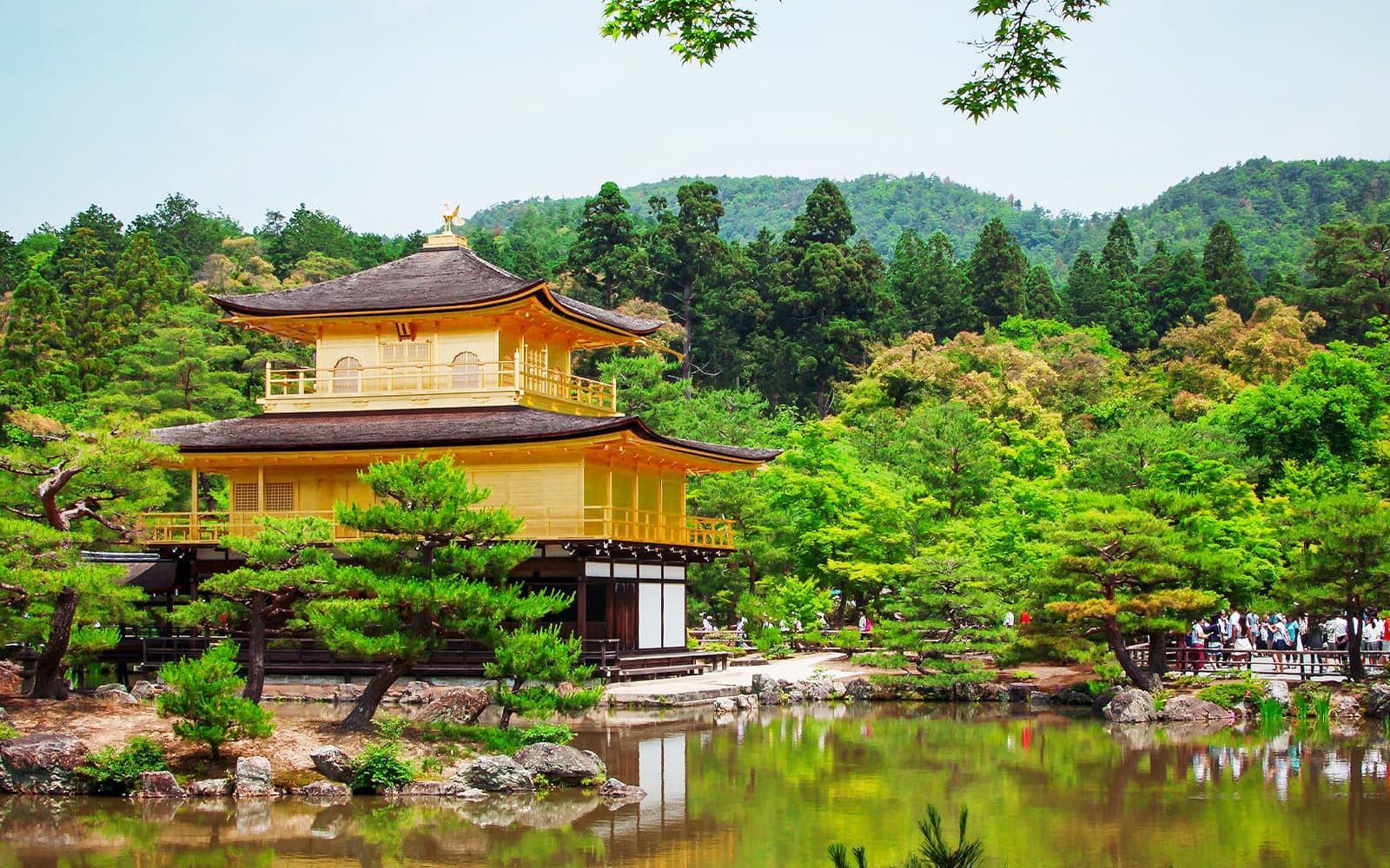 Full-Day Guided Day Tour of Kyoto Heritage Sites with Optional Lunch tickets in Kyoto - Highlights | TickYourList